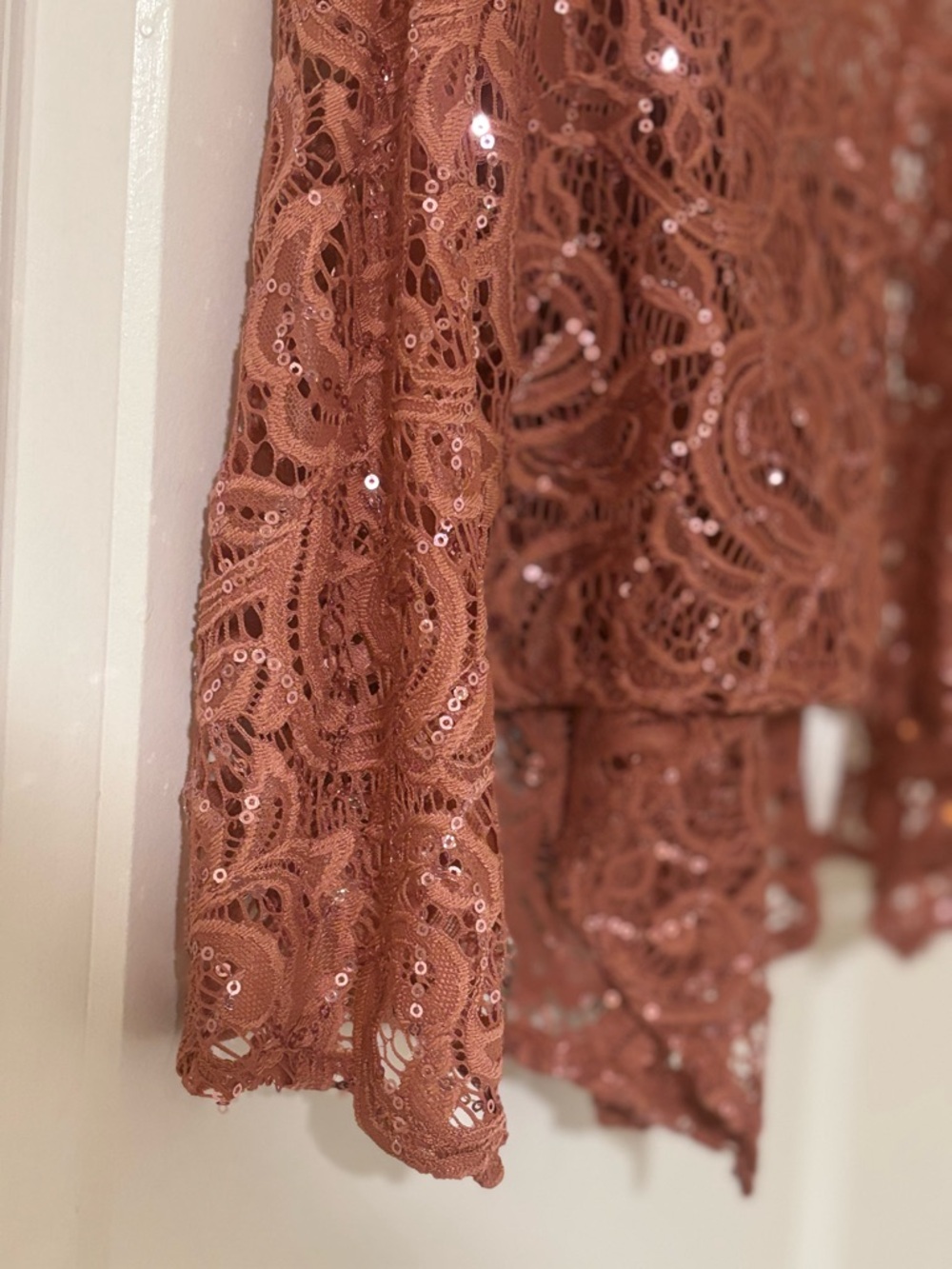 Free People Rose Lace Sequin Camisole - Picture 3 of 8